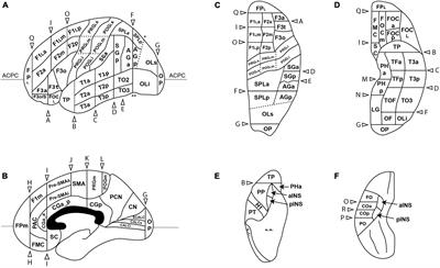 HOA2.0-ComPaRe: A next generation Harvard-Oxford Atlas comparative parcellation reasoning method for human and macaque individual brain parcellation and atlases of the cerebral cortex